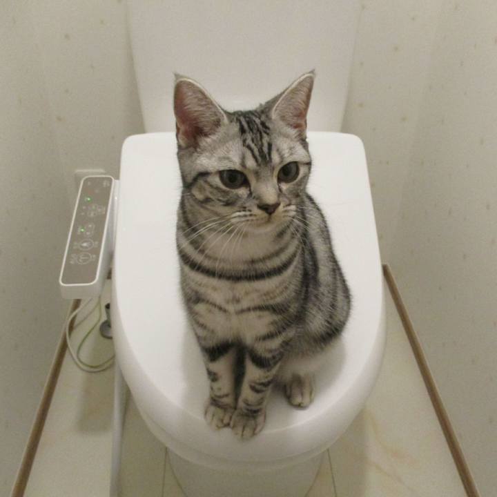 Caaf23f4 30c7 4d34 9c24 09c15e7ff69d 1545478389128