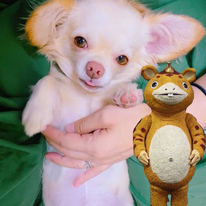 Caaf376b 98bd 422a b5c6 ff4babad4483 1632836582616