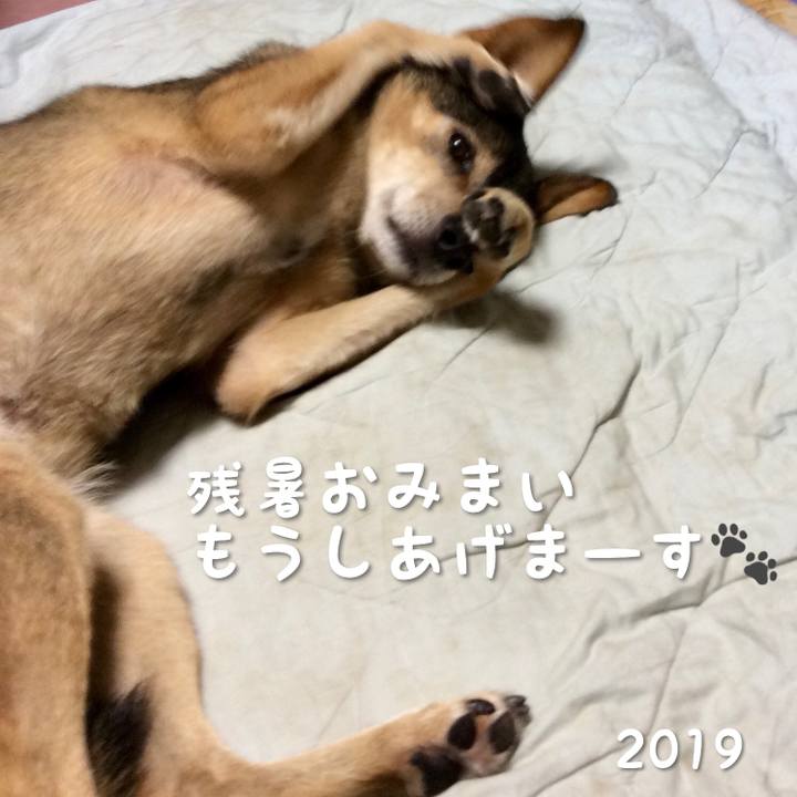 Caafadb8 da38 490c bf9d fd9e03097ab9 1564718356957