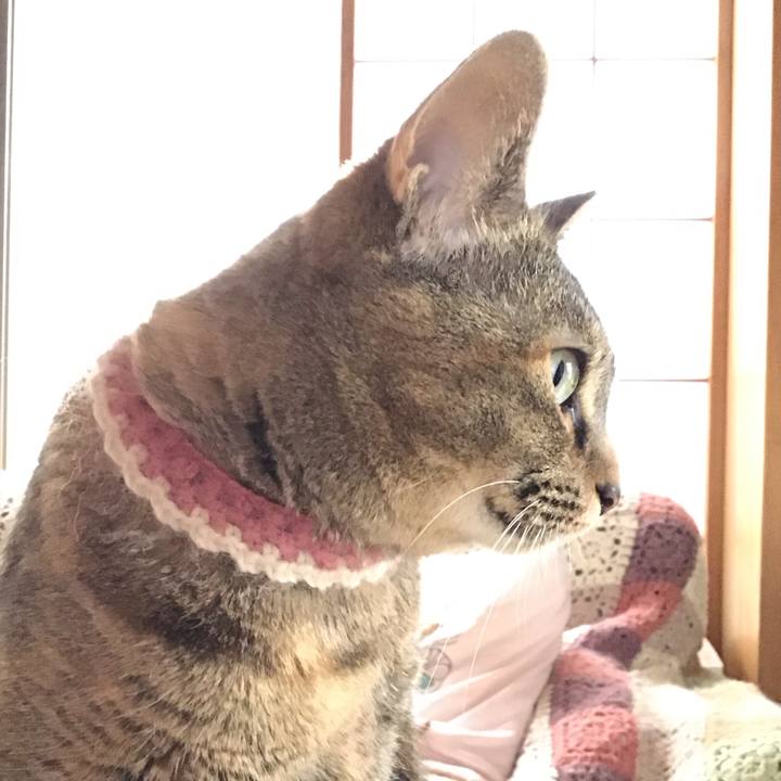 Caafcdf3 d11e 4591 9902 228ebc1144b4 1713853707155