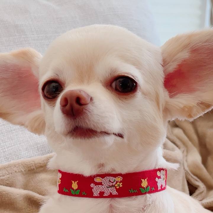 Caafd31d 01d0 49e2 9679 e324eb7974fe 1721525281400