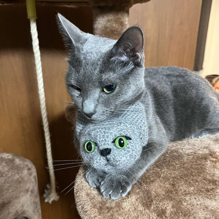 Caafd658 1131 4e2d 90f1 238f84d6fcb3 1697809456411