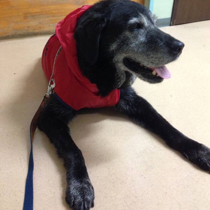 Cab00679 ecb0 4807 b55c 475f757b5674 1562501014712