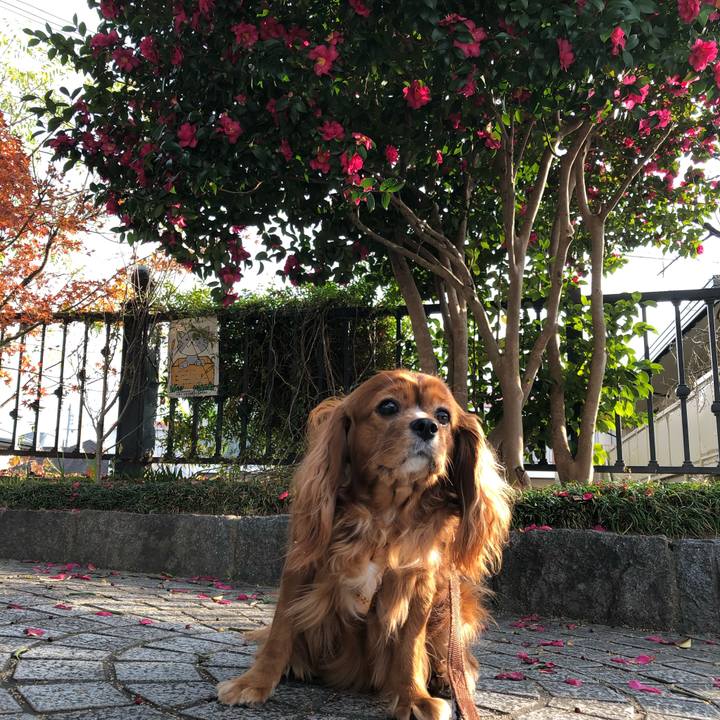 Cab013b8 aedd 4460 bad9 2651702a14fd 1639434604343