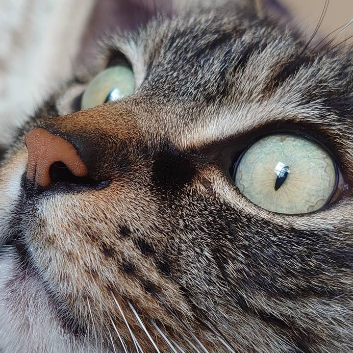 Cab024c3 7dbf 4172 a71e 8f7bc2c8dfc4 1645769236078