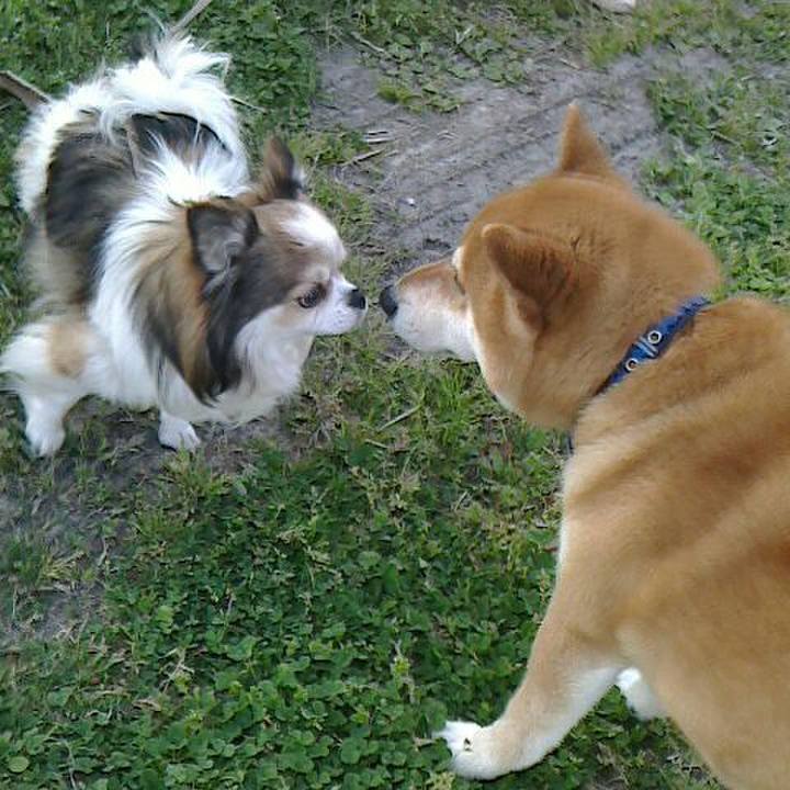 Cab028d2 5448 41fa 826f a9398198ef61 1523058537131