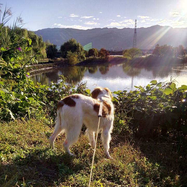 Cab038a2 986a 45aa 91cb 9461e29ef3ae 1512087780793