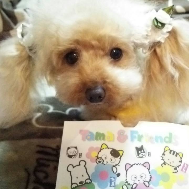 Cab071cc 5c21 4b73 87af 399c39bff6fd 1545220925704