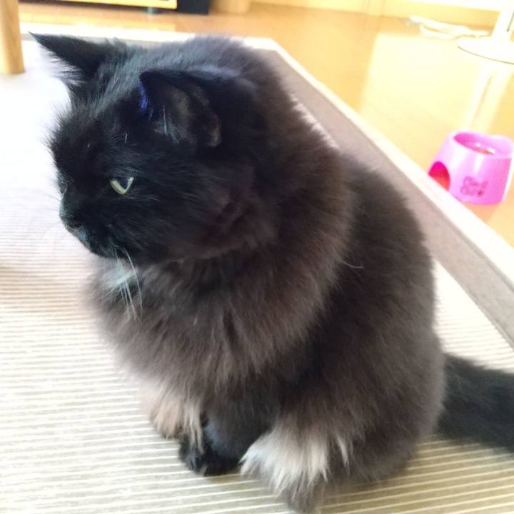 Cab08661 c39b 41a0 aa06 680f2e73068c 1656458054798