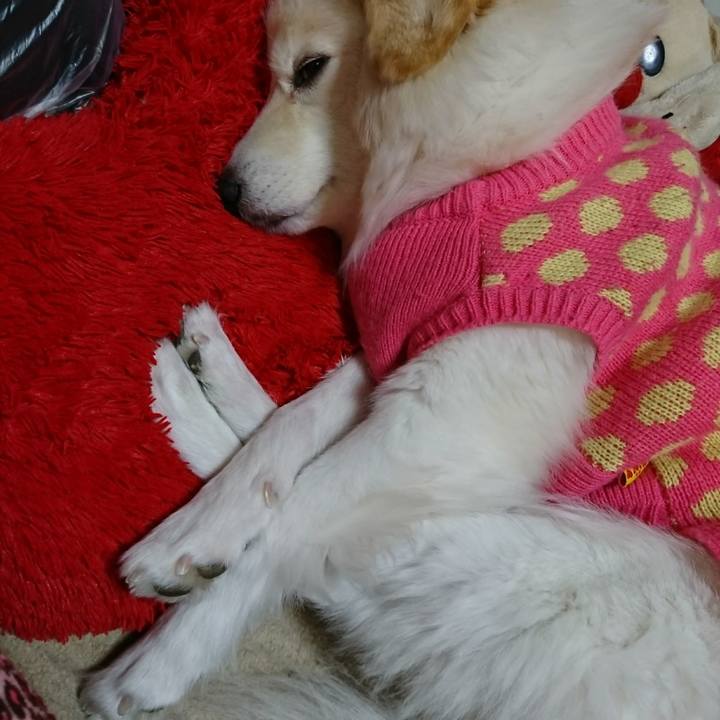 Cab0a3c2 73c3 4ac6 9862 387e057984bd 1517385401012