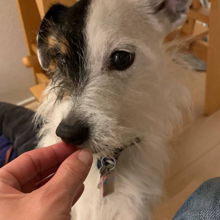 Cab0a79d 8a9d 4a9a 9905 2cf8d876d463 1650798077359