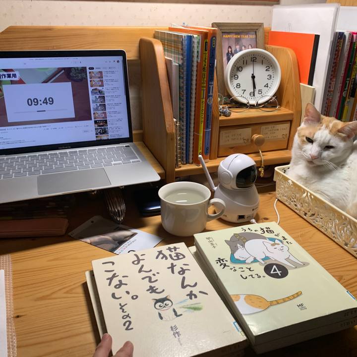 Cab0e961 b062 4962 b17c 603e9c377c5a 1645826093014