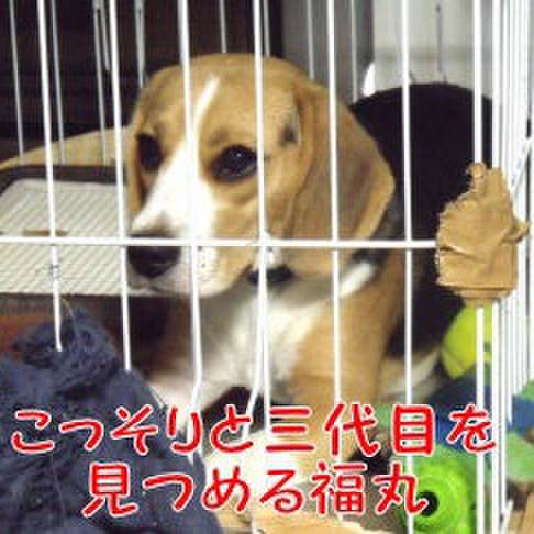 Cab0ed2a 3af6 4eeb be7e f80aa5f0b9ef 1688169179878