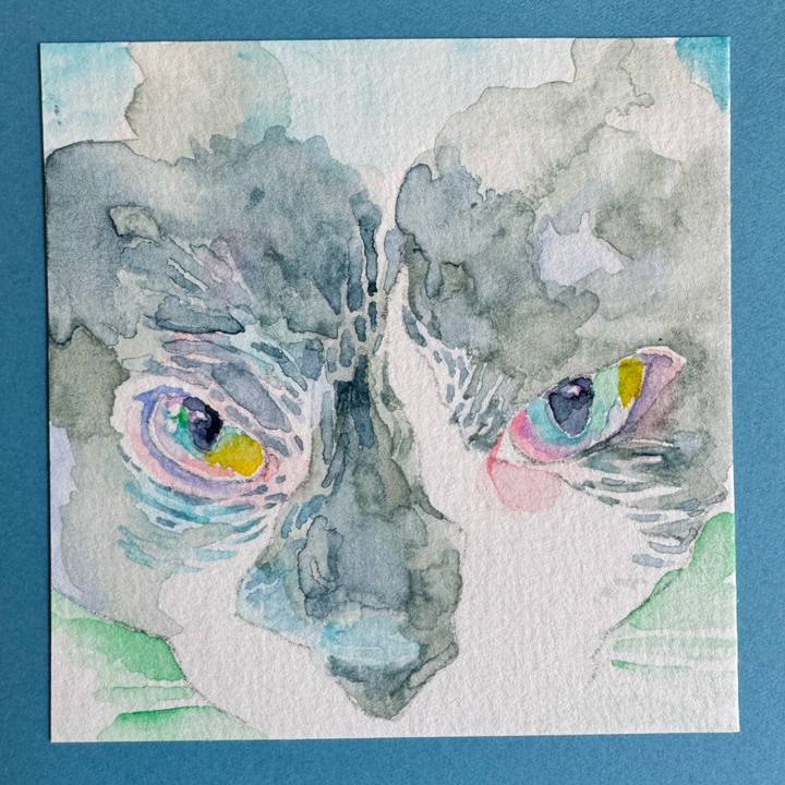 Cab0f1b9 d53b 4194 83ae 8700c8c9d0b9 1771810360642