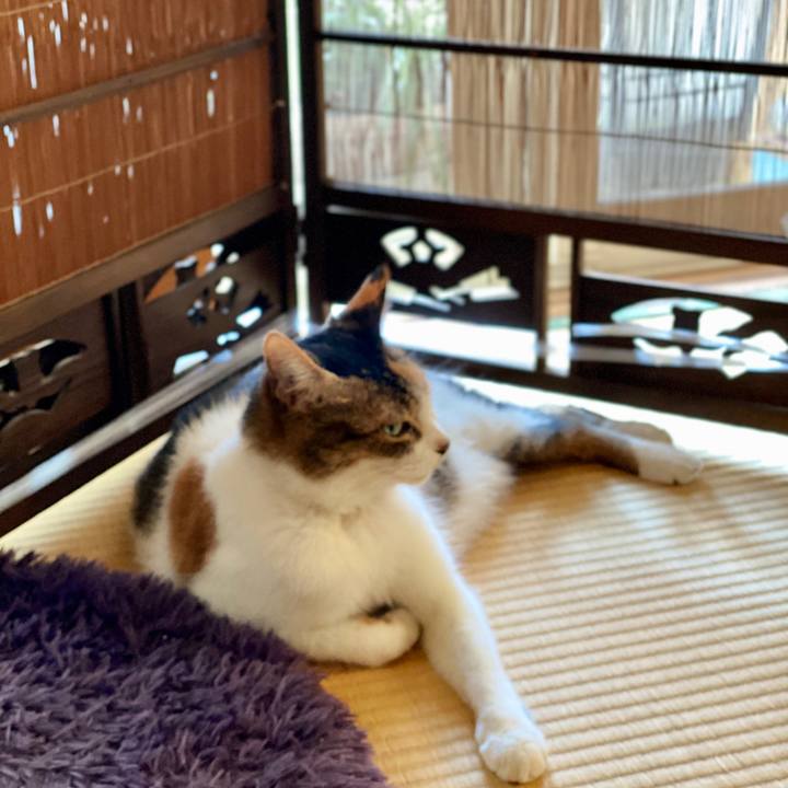 Cab0f4b4 ac89 4c18 8ba0 d9e43f7b28bc 1599622021288