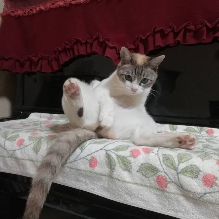 Cab0faa0 9769 4928 8d49 67fbae83efa6 1558700814920