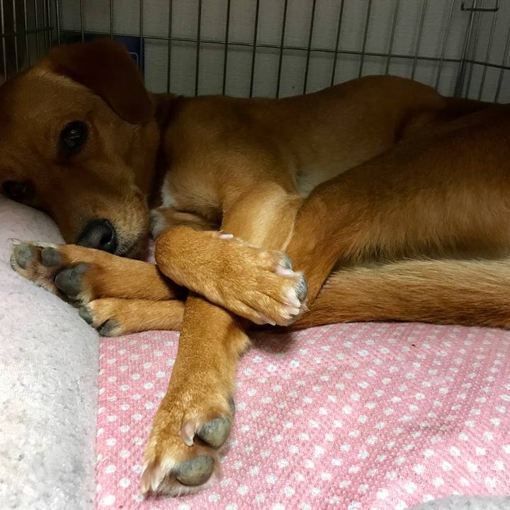 Cab12931 d8cd 4f08 a7dd 641ae8f1f0de 1517558772801