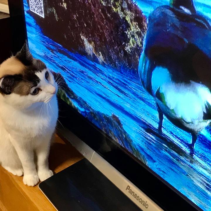 Cab169ae 90fb 4b0e 8603 9bffbee452f8 1583812095434