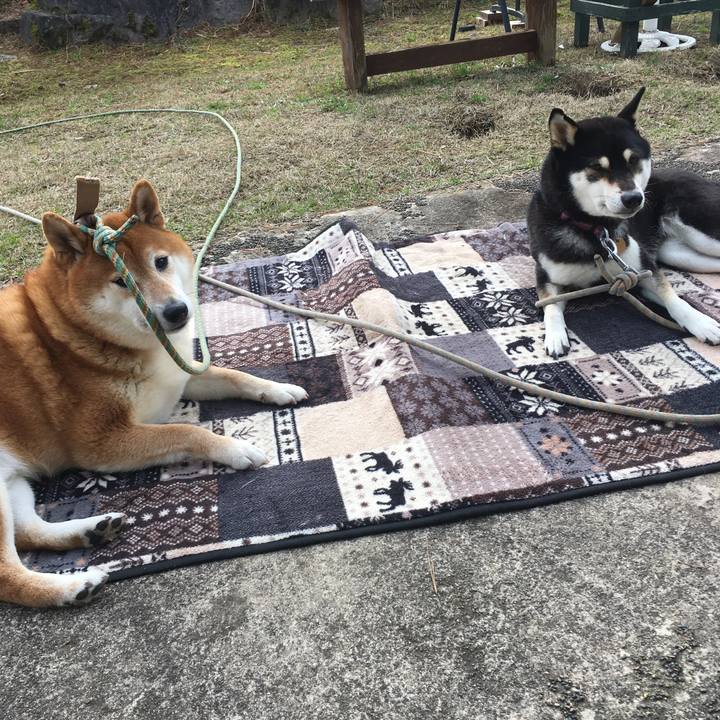 Cab173ba c6df 47d0 b41e 2c906f905fce 1609207040019