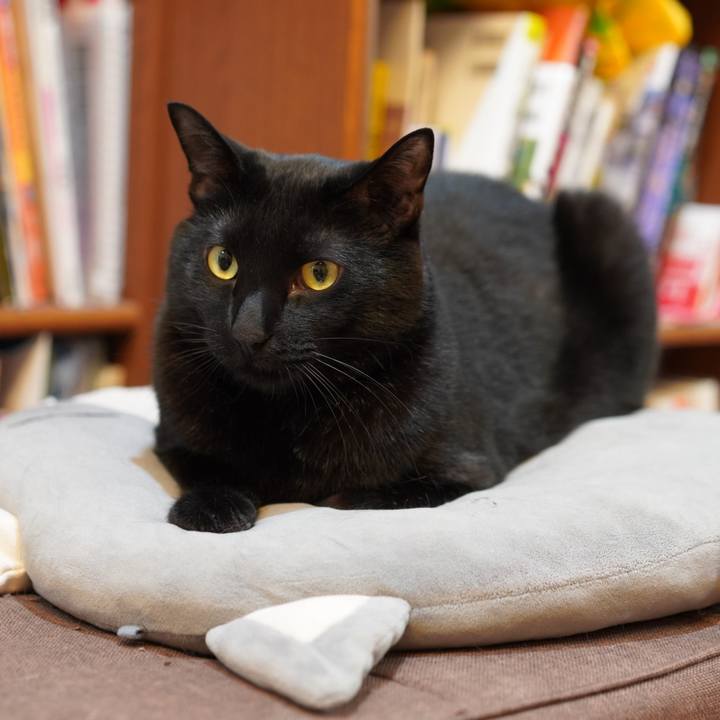 Cab1e879 d336 4f6c 906c 50190ec54bb6 1619150912649