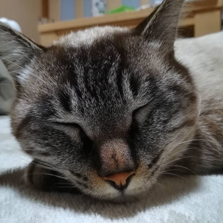 Cab1f82d cb0e 4356 86e3 307dc92964f1 1512742158646