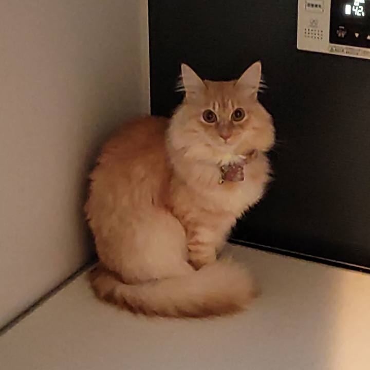 Cab20520 2e5c 4d57 b4e5 bb4873cd07ad 1701382155442