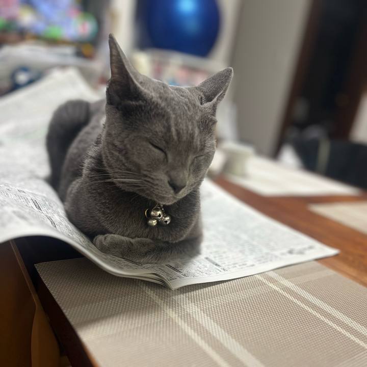 Cab22b83 9829 447a 8151 eb204729c329 1730078172131