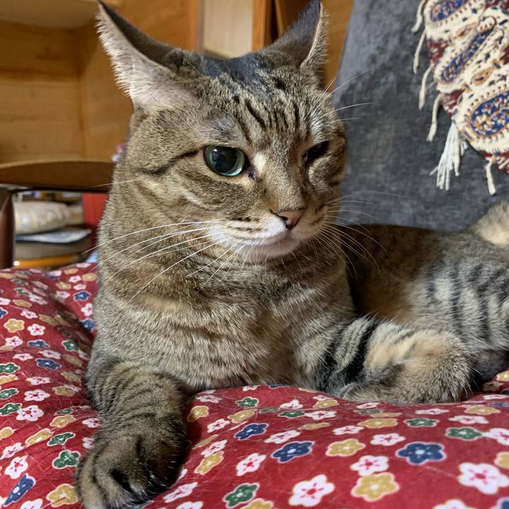 Cab25f35 7a20 43e3 ab40 75bae50038aa 1631368314064