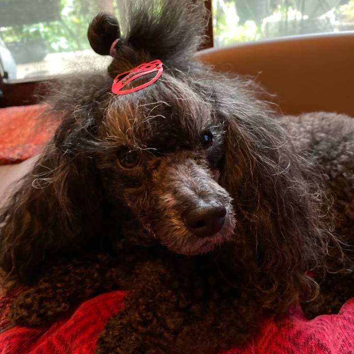 Cab26427 7bed 4ad3 82af 969f9eda54d8 1688598042929