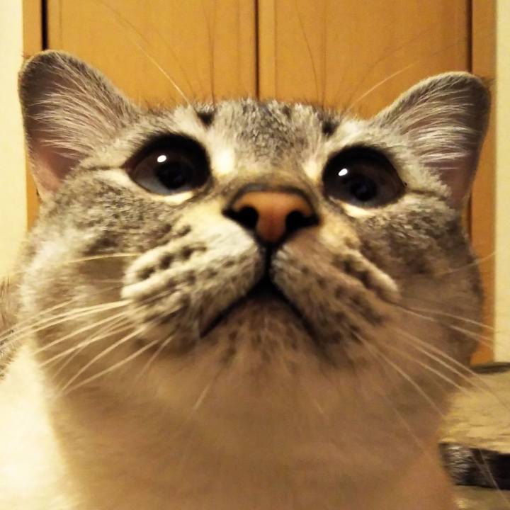 Cab26d30 50cf 4d67 a4d2 8a393570e0af 1559139003877