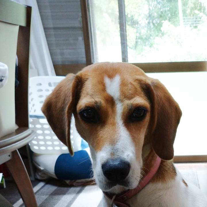 Cab26e14 1e8e 453c 89c0 3879f4914f2f 1599993441771