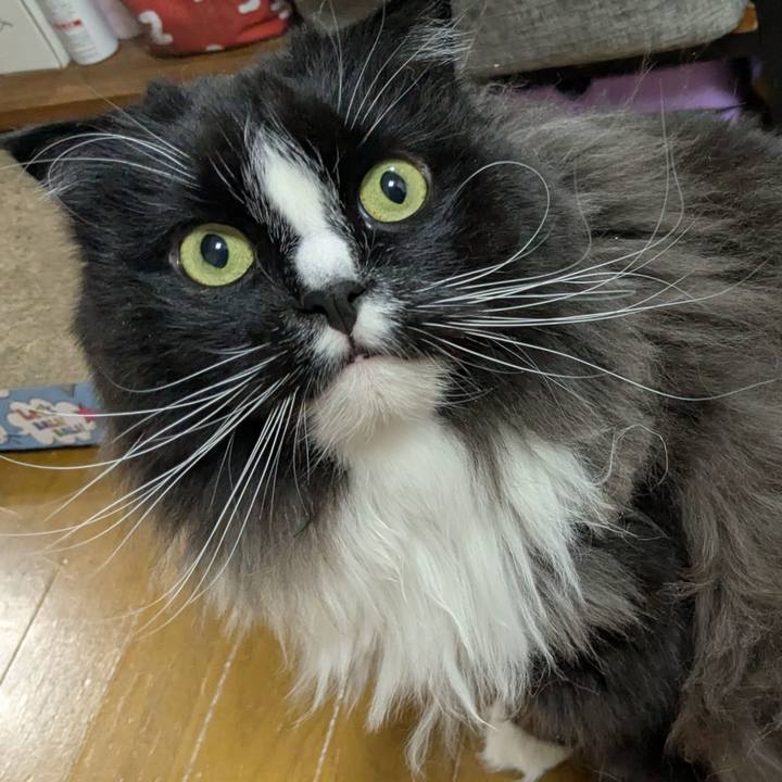 Cab28683 a719 4547 98a5 a120052d3dfe 1773310735471