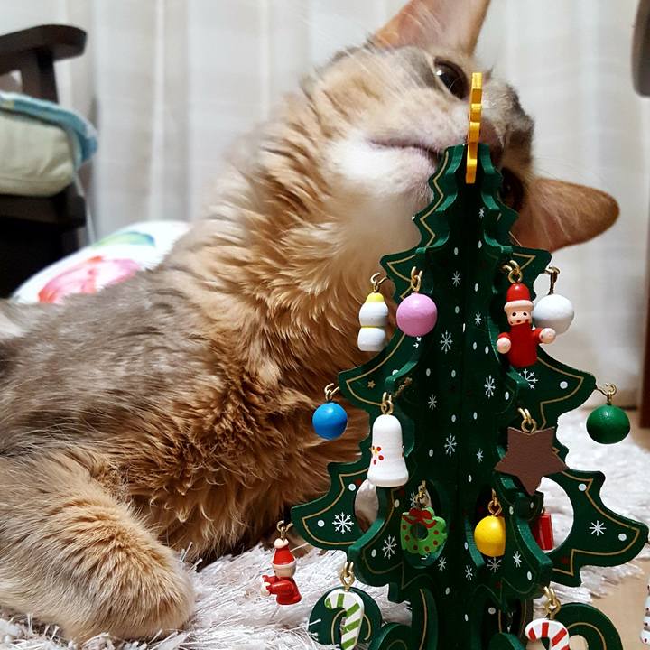 Cab2bedb d887 472d 929c fdbe00bfea8a 1577187410030