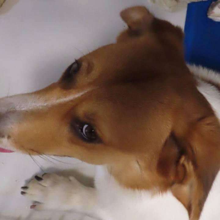 Cab2c9a1 e36a 4f3f b8e1 2ca7a8701881 1630455461789