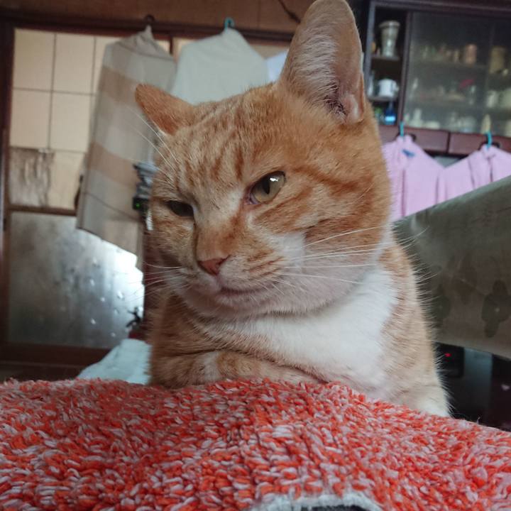 Cab2ceb1 14d5 4e4d bf0d db441540aa3e 1581118161457