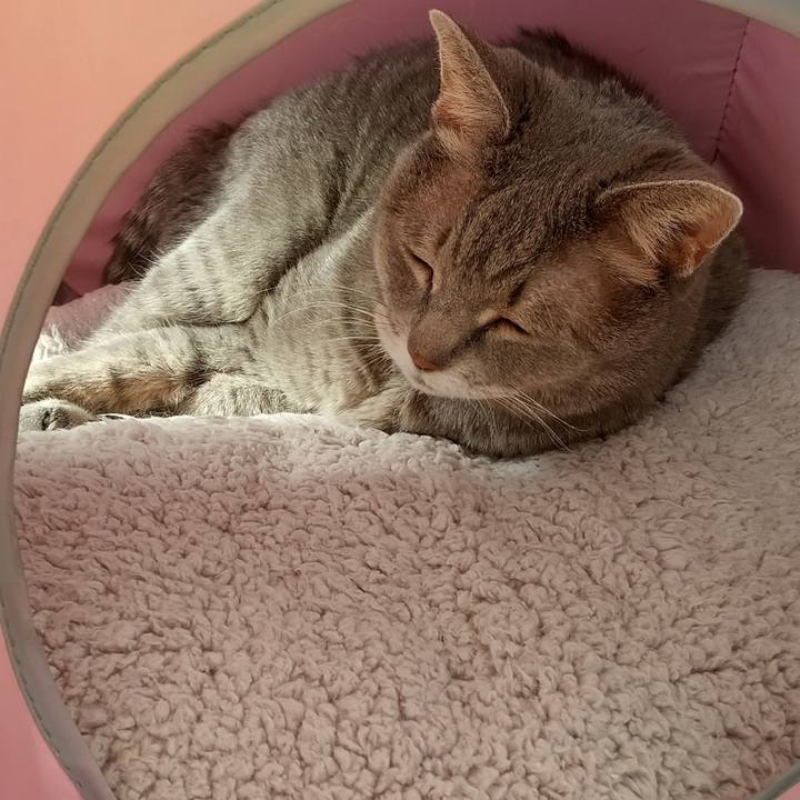 Cab301b9 e0ab 45a3 b701 5301dd231f98 1634694298809