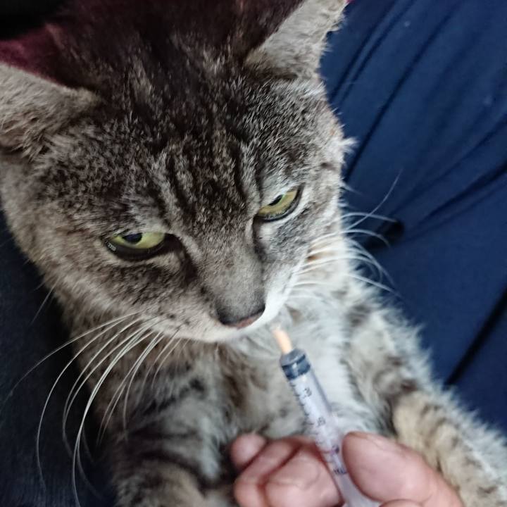 Cab31556 5683 4d8c b6d0 829c4dd55ce1 1581285211157