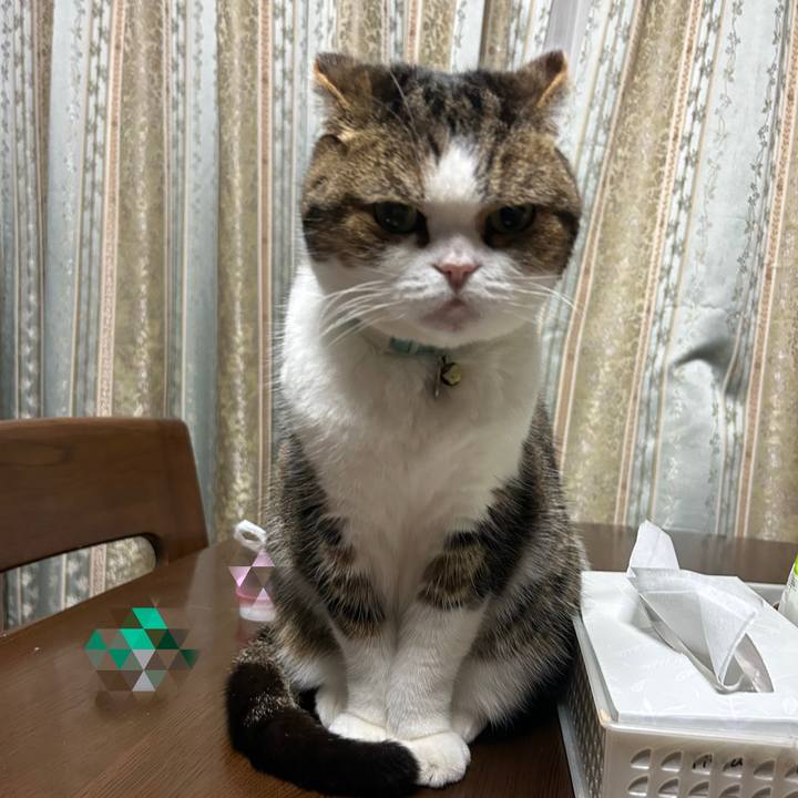 Cab3592d 0daa 4979 bd9e 87ff067537bb 1769114866783