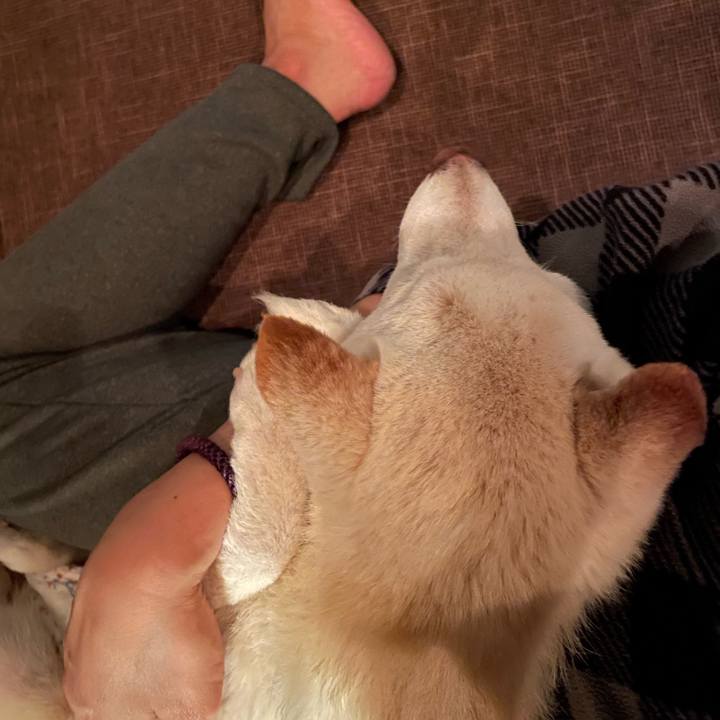 Cab38688 4308 4eec a70a abf859664e0d 1668604569084