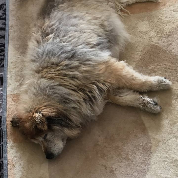 Cab3cd0a a002 485d 84e9 e1f644340608 1556516054376