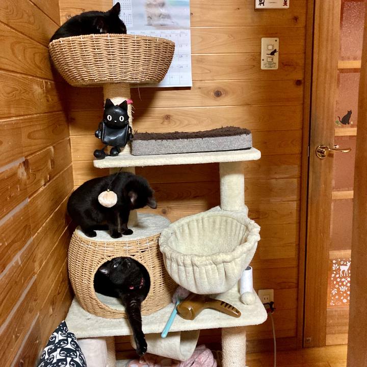 Cab3d0a9 a116 43f1 ae73 f82f6de7dcde 1644414066303