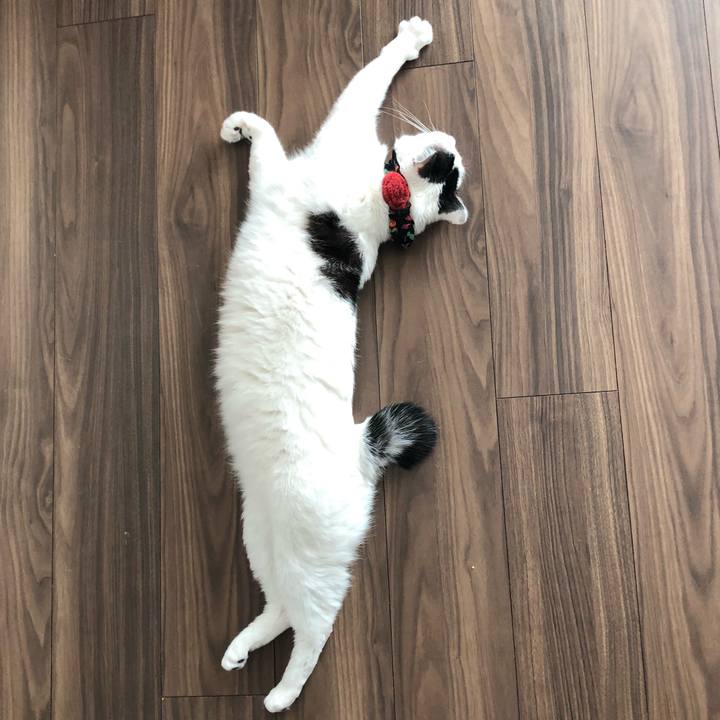 Cab3f305 56e3 46f2 a565 a85654a7a456 1552113961535