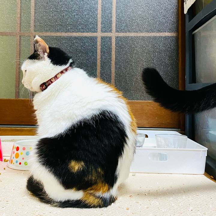 Cab40562 4697 462e acfe 493a789a13ae 1684362535990