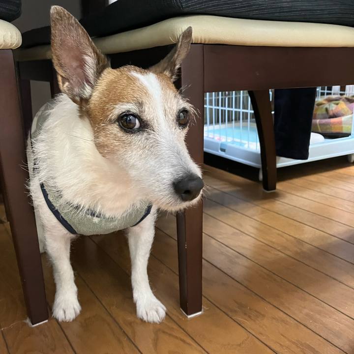 Cab42a27 5815 49b5 9997 8211b1518734 1669245968402