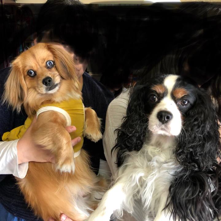 Cab44299 e378 4704 9115 a0fe04452a61 1525485088431