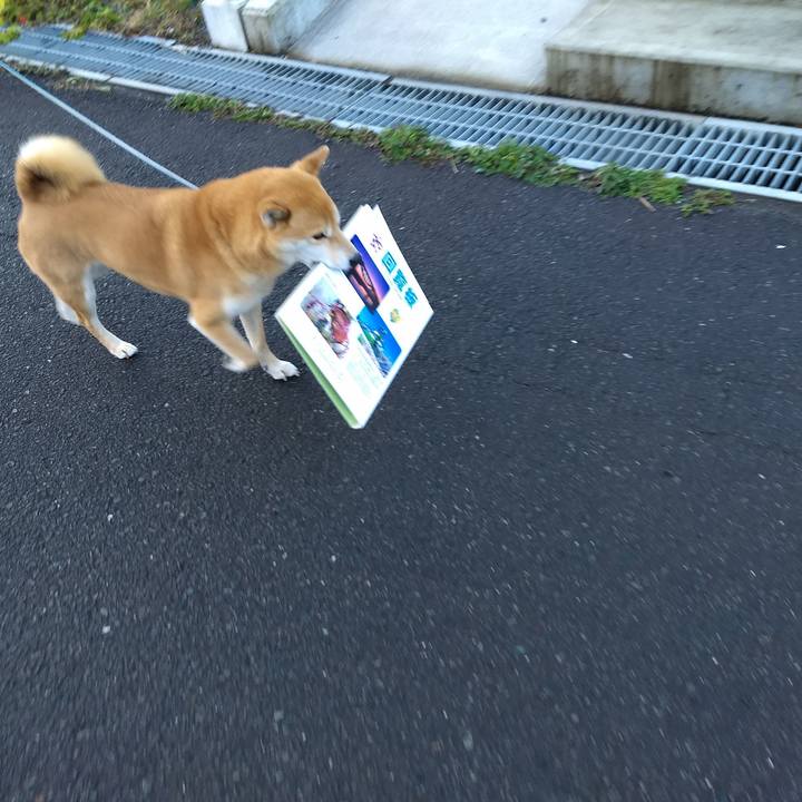 Cab4492f a7a7 42f5 94b7 4b1a2ba9baac 1545820899099