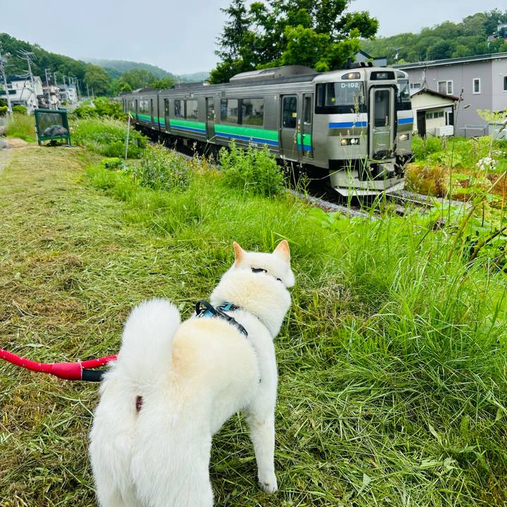 Cab454d4 38a2 46b7 84f1 a625a8ca2077 1719349542773