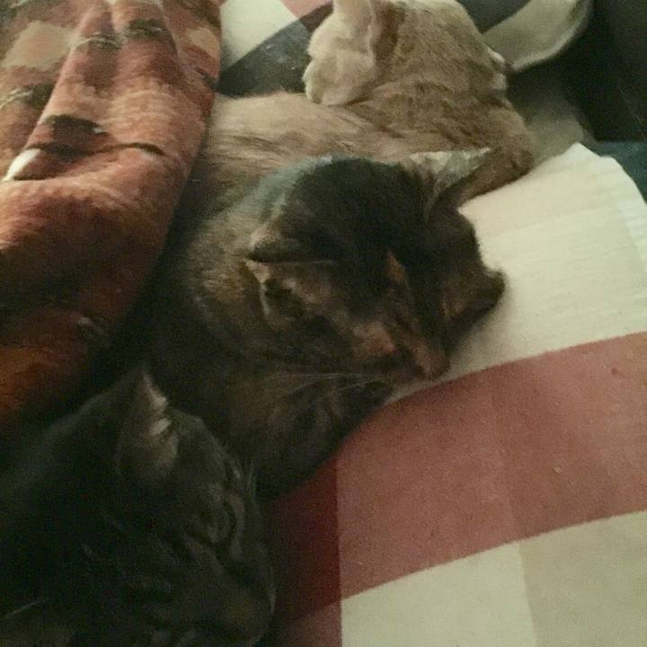 Cab454f9 50e9 4cd8 8571 874d9290bcb4 1522132724457