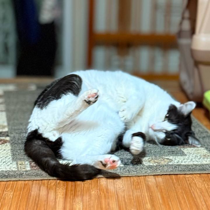 Cab47e69 bfe8 4015 898d 64cff39083b1 1734920107694