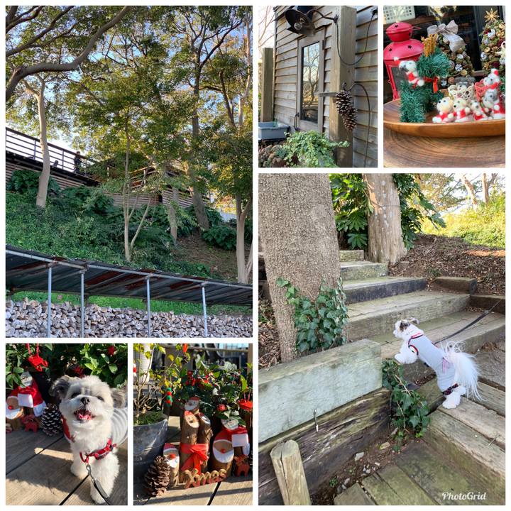 Cab486ab e6e1 41d0 973b 484c00adb66d 1573383869239